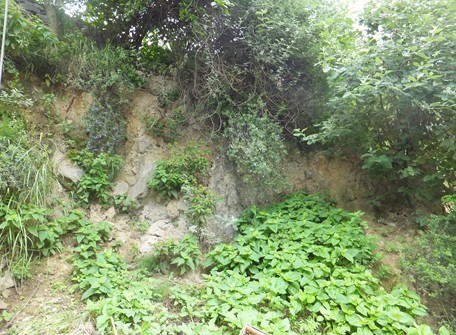 咱里村民房外側岸坡