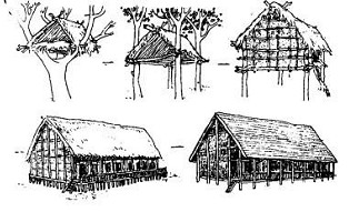 原始巢居發展系列